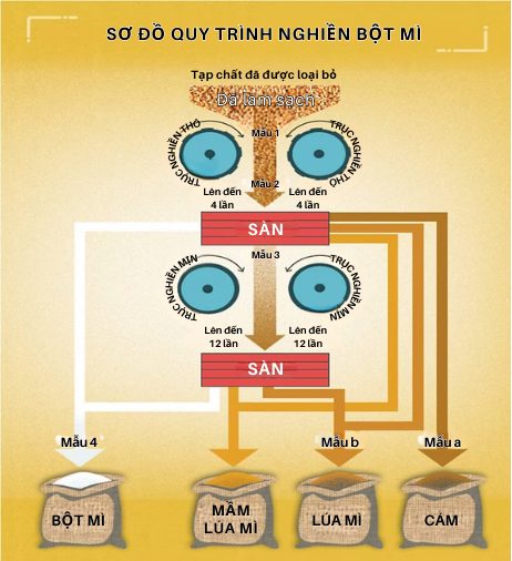 nghiền bột mì