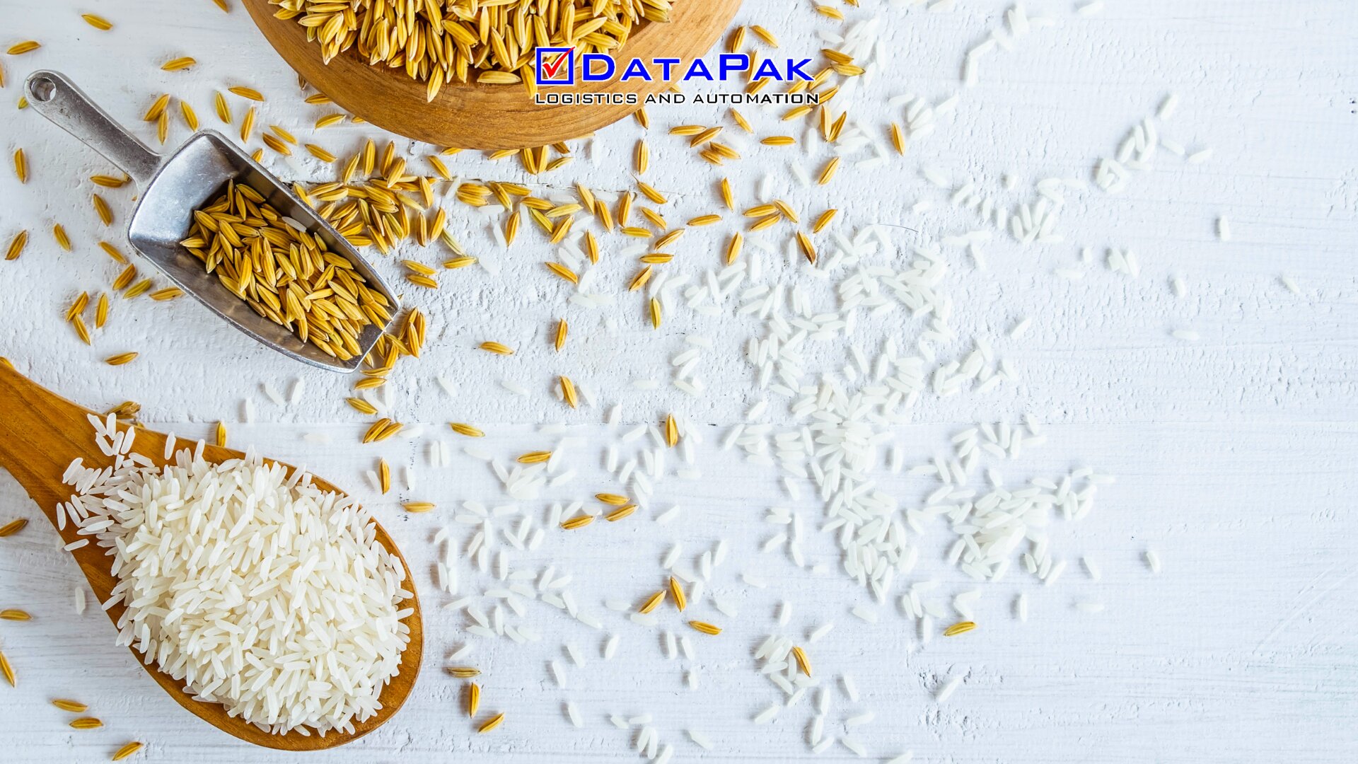 Kiểm soát độ ẩm trong gạo